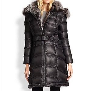 Dawn Levy Cat II Jacket